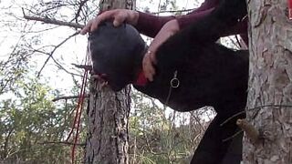 Tied up to a tree outdoor on fine clothes, wearing pantyhose and high ankle boots heels, rough fuck