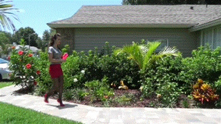 NOSEY HOA GIRL FROGTIED FOR PROSTITUION_MP4HD
