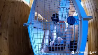 In The Crate